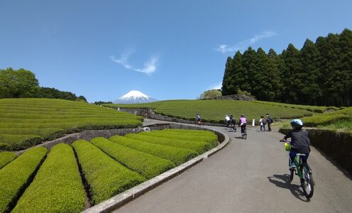 2022.4.23 【レポート】富士山茶ライド