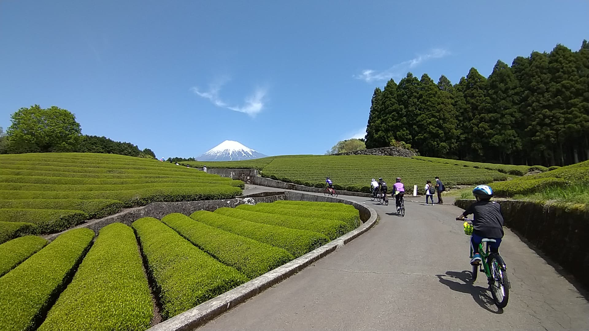 2022.4.23 【レポート】富士山茶ライド