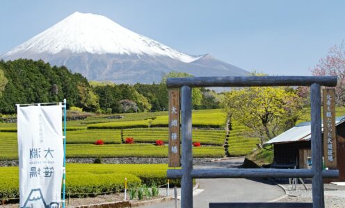 2022.4.23 【開催！】富士山茶ライド
