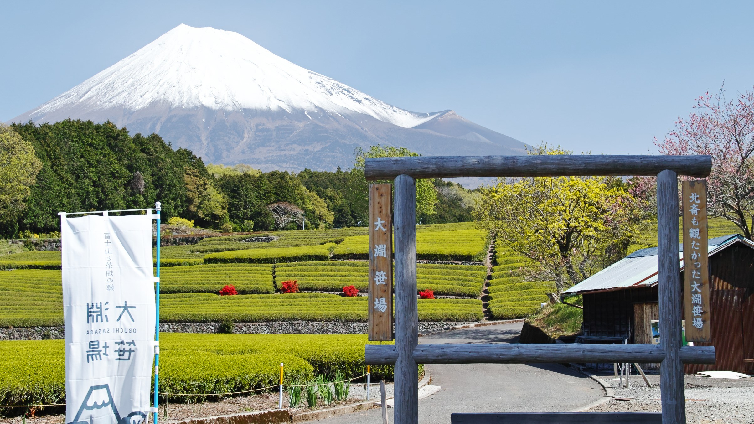 2022.4.23 【開催！】富士山茶ライド